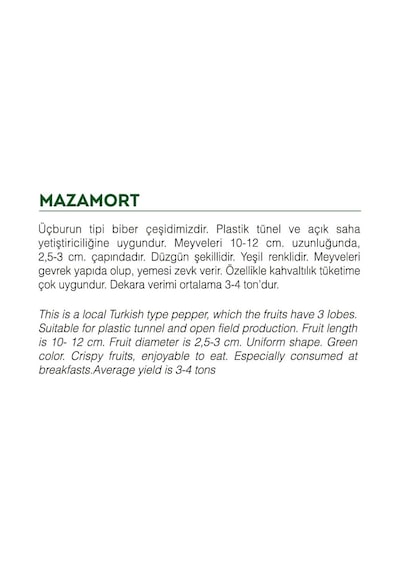 AGRodal Tarım Ata Tohumu Yerli Doğalyeşil Biber Mazamort 1000 Ad Tohum