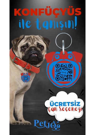 Petjoo 9.Konfüçyüs Mavi-Kırmızı Qr'lı Köpek Künyesi