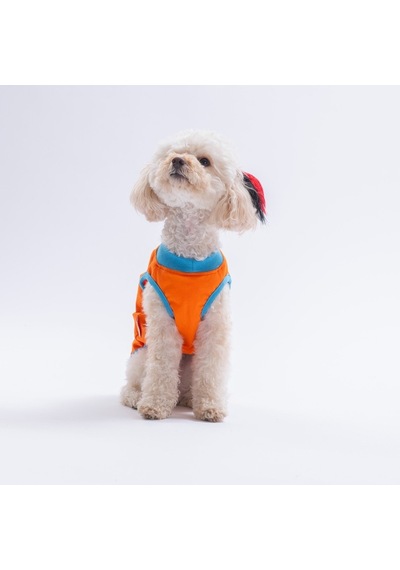 Orange-turuncu All Good Days Kedi Köpek Tişörtü-kedi Köpek Kıyafeti