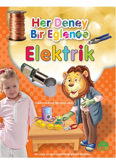 Her Deney Bir Eğlence - Elektrik- Martı Yayınları