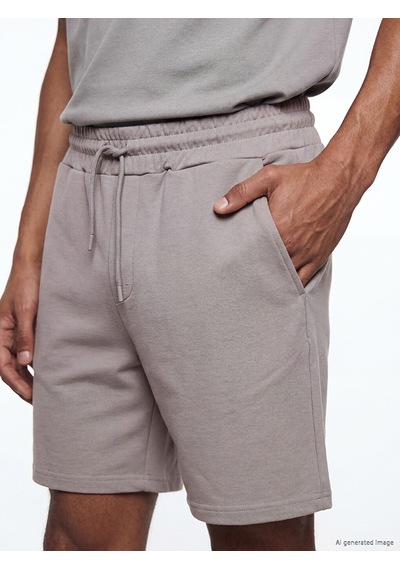 Lcw Vision Gri Regular Fit Erkek Şort