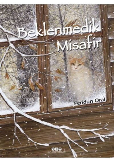 Beklenmedik Misafir