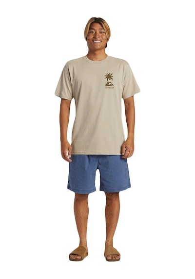 Quiksilver Aqyzt09562 Tropical Breeze Mor Erkek Tişört 001