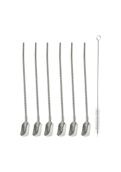 Mucit Home Kaşıklı Milkshake Pipeti Gümüş Paslanmaz Çelik 6'lı Pipet Seti+ 1 Adet Temizleme Fırçası
