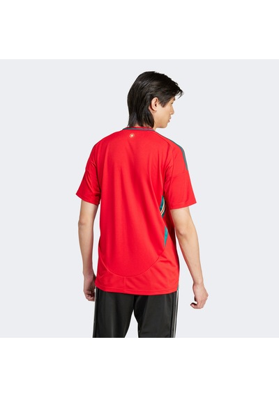 Adidas Galler Milli Takım Erkek Kırmızı Futbol Forması - Iq2430 Kırmızı