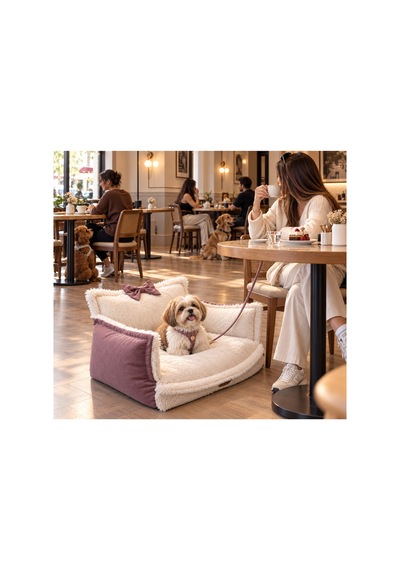 Peluş Fiyonklu Kedi Ve Köpek Koltuğu Tamamen Fermuarlı Çıkarılabilir İç Minder Boncuk Elyaf Kaydırmaz Taban Kedi Ve Köpek Yatağı Beyaz Peluş Lila 1715024318 Peluş Fiyonklu Kedi Ve Köpek Koltuğu Tamamen Fermuarlı Çıkarılabilir İç Minder Boncuk Elyaf Kaydırmaz Taban Kedi Ve Köpek Yatağı Beyaz Peluş Lila 1715024318