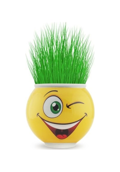 Çocuklar İçin Çim Adam Saksı Emoji Figürlü 1 Adet Şirin Gülen Surat Çim Adam Saksı