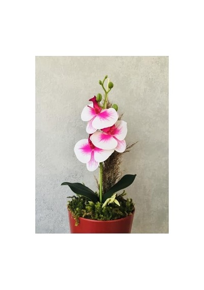 Orkide Yapay Çiçek, 38 Cm, Pembe-beyaz, Saksıda Diğer