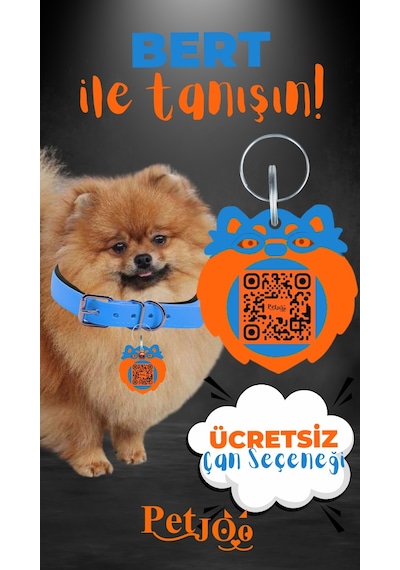 Petjoo 13.Bert Turuncu-Mavi Qr'lı Köpek Künyesi