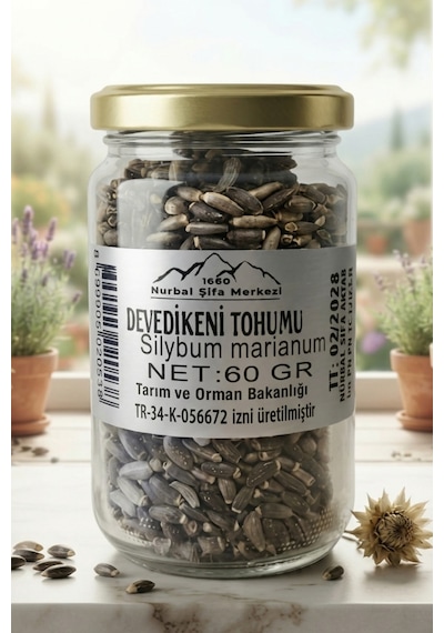 Devedikeni Tohumu 60 Gr E 1 Adet