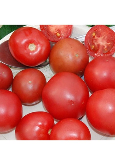 20 Adet Brandysweet Plum Domates Tohumu