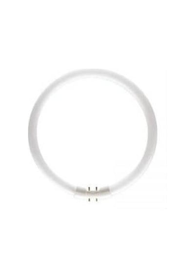 Osram Fc T5 22W/840 Simit Floresan Ampul