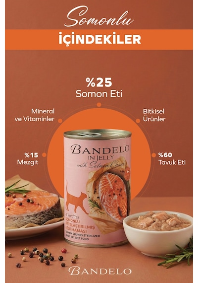 Somonlu Kısırlaştırılmış Yetişkin Kedi Konserve Yaş Maması - Jöle İçinde Parça Etli, 400 Gr X 12 Adet