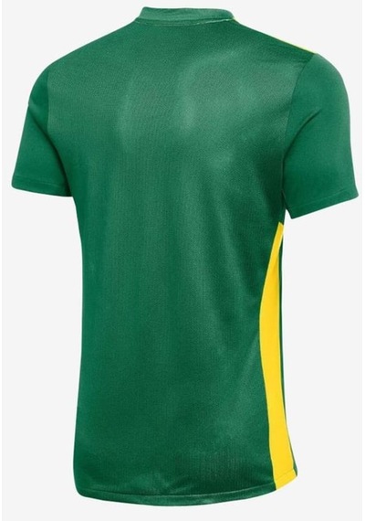 Nike M Df Park Derby Iv Jsy Ss Fd7430-303 Yeşil Erkek Forma 001