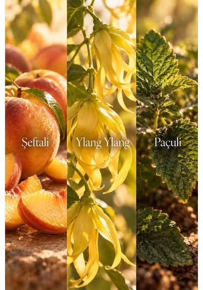 Yos. No Plans Today Body Mist 100 Ml Şeftali, Ylang Ylang & Paçuli Kokulu Vücut Spreyi