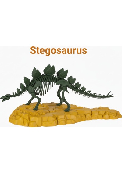 Stegosaurus İskeleti Kit Card - Eğitici Deney Seti