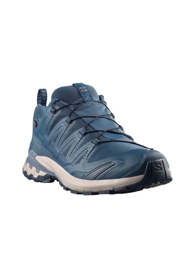 Salomon Xa Pro 3d V9 Gtx 2314 Mavi
