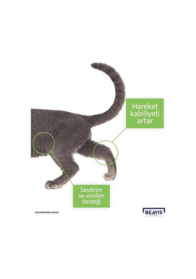 Kolajen Ve Glukozamin İçeren Eklem Sağlığı Destekleyici Kedi Macunu 85 Ml