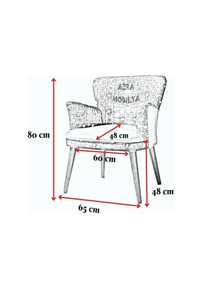 Azra Mobilya Çayseti Koltuk Berjer - Tekli Koltuk - Cafe, Ofis, Balkon, Kafe, Bahçe - Dijital Baskı Wb Kedi Desen