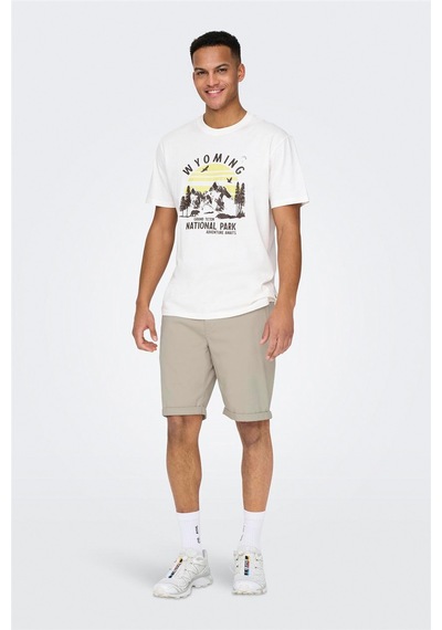 Only & Sons Onspeter Lıfe Regular 0013 Shorts Noos Erkek Bej Şort - 22027905 Bej