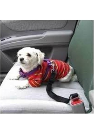 Ankaflex Evcil Hayvan Köpek Araç Emniyet Kemeri