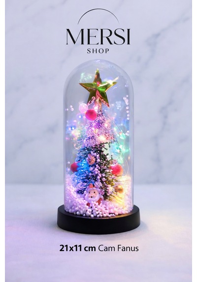 Yılbaşı Temalı Işıklı Dekoratif Cam Fanus Led Masa Süsü 22x11 Cm 01