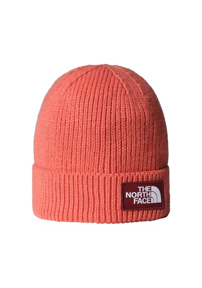 The North Face Tnf Logo Box Cuffed Unisex Bere Nf0a8cheeed1 Çok Renkli
