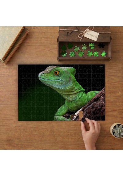 Yeşil Kertenkele Tasarımı 240 Parça Ahşap Puzzle Ahşap Kutuda Mpy50457