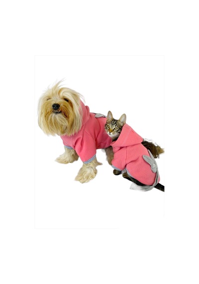 Pinky Rabbit Sweatshirt Kapşonlu Kedi Kıyafeti Kedi Sweatshirt