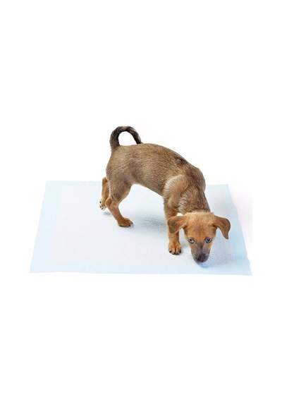 Hubrendy Çer Yıkanabilir Köpek Çiş Pedi - 100 X 100 Cm 5li Paket