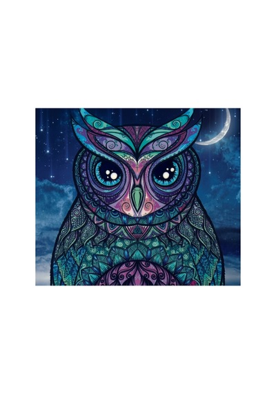 30x30 Cm Mandala Baykuş Elmas Boyama Seti Full Kare/yuvarlak Taşlı Dıy 5d Diamond Painting Kit