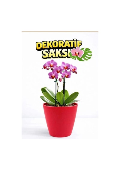 Dekoratif Saksı 12.5 Cm Canlı Kırmızı Renk 1.25 Lt Orkide Ve Salon Bitkileri Için
