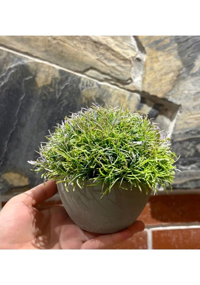 Loft Serisi Dekoratif Gri Saksılı Bodur Çim 13 Cm X 17 Cm Yeşil