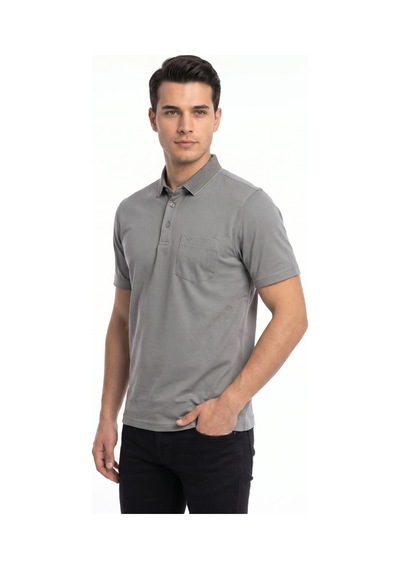 Raymons Erkek Polo Yaka Kısa Kollu Tişört Regular Kalıp T6270 Bgl-st05553 Gri