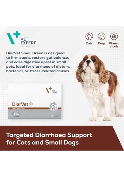Vetexpert Diarvet Small Breed And Cats