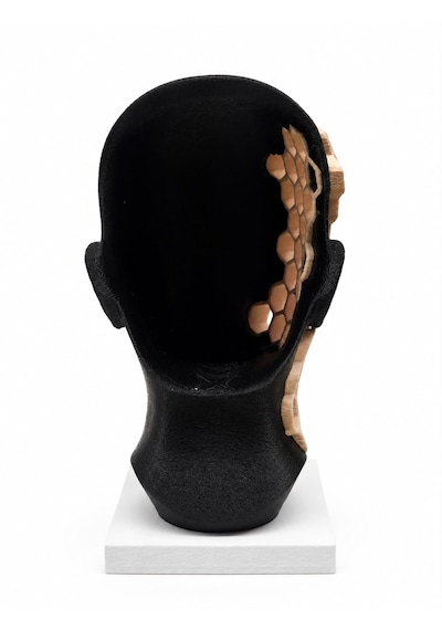 Yaşam Hücreleri 18cm Dekoratif Biblo 3d Baskı 15cm