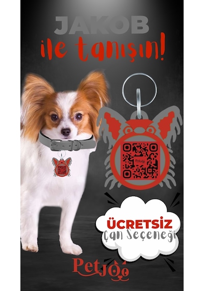 Petjoo 8.Jakob Kırmızı-Gri Qr'lı Köpek Künyesi