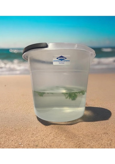 Wespa Şeffaf Plastik Su Kovası, 10 Litre Diğer