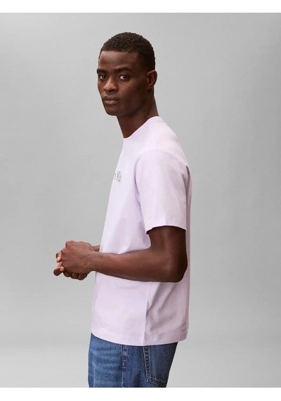 Calvin Klein 20s Eu Wholesale Spo, 3oq, S Mor Erkek T-shirt