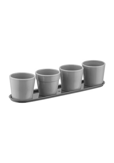 Kaktüs Saksı 4'lü Set Mint 0,12 4 Lt 295 65 65 Mm 78815779