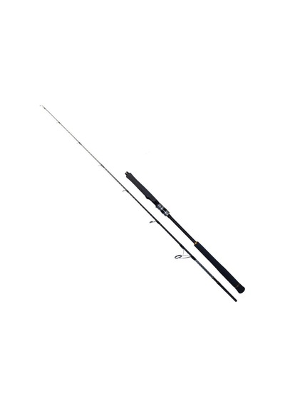 Ryuji Seawolf 180 Cm 400-800g Aksiyonlu 2 Parça Jig Kamışı