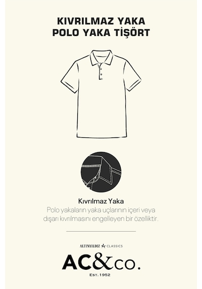 AC&Co / Altınyıldız Classics Altinyildiz Classics Erkek Turkuaz Slim Fit Dar Kesim Polo Yaka %100 Pamuk Tişört 4A4820200001TRKXL Turkuaz AC&Co / Altınyıldız Classics Altinyildiz Classics Erkek Turkuaz Slim Fit Dar Kesim Polo Yaka %100 Pamuk Tişört 4A4820200001TRKXL Turkuaz