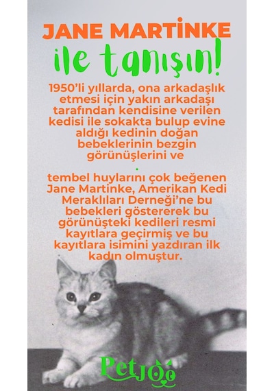 Petjoo 5.Jane Martinke Yeşil-Turuncu Qr'lı Kedi Künyesi
