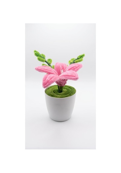 Şönil Pembe Lilyum Mini Saksı Minimal Saksı