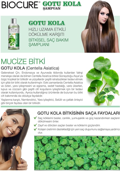 Biocure Gotu Kola Saç Dökülme Karşıtı ve Hızlı Uzama Etkili Bitkisel Bakım Şampuanı 400 ML