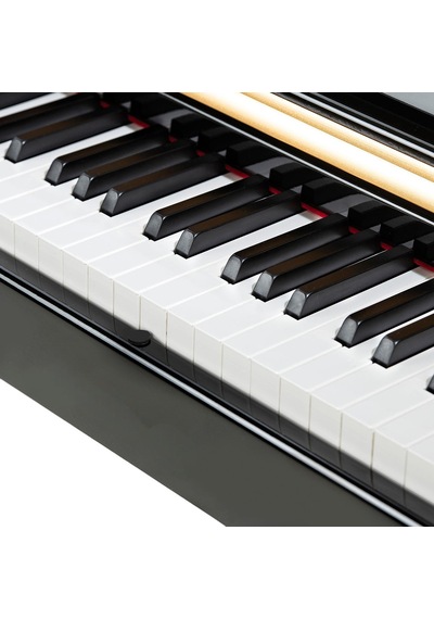 Winchester Wdp-4952 Dijital Piyano 88 Keys