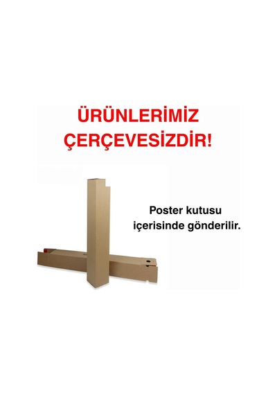 Besay Yansıma Duvar Posteri-modern Sanat Estetik Dekoratif A2 Çerçevesiz