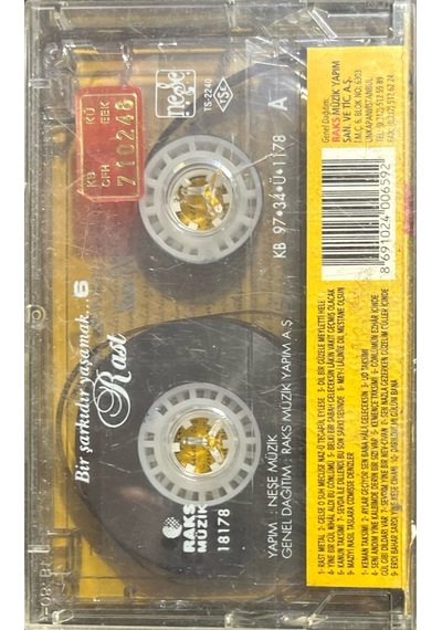 Kaset Rast Bir Şarkıdır Yaşamak 6 Kaset