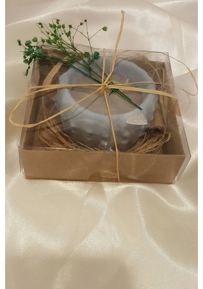 Yılbaşı Kaktüs Saksı Mum Yeni Yıl Mumu Noel Kader Kısmet Mumu Hediyesi Çok Renkli