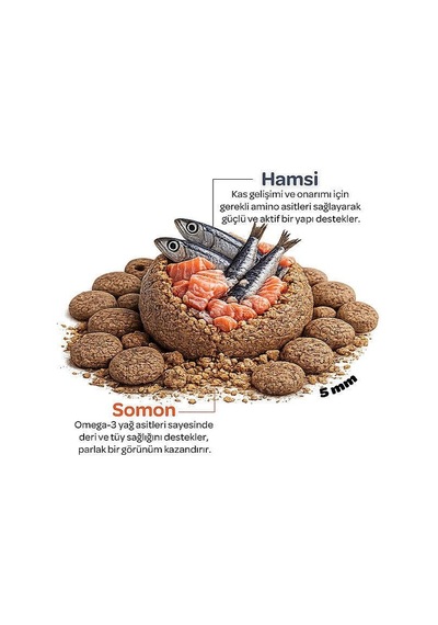 Obivan Sterilised Somonlu Ve Hamsili Kısırlaştırılmış Kedi Maması 2 Kg